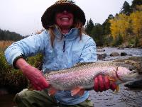 Guided trout fishing near Denver.